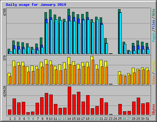 Daily usage for January 2019