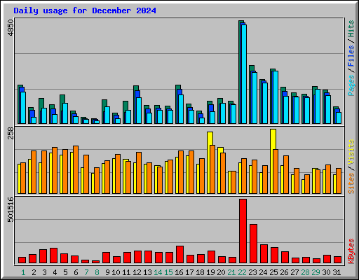 Daily usage for December 2024
