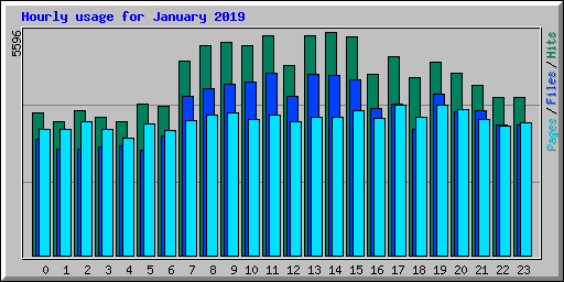 Hourly usage for January 2019