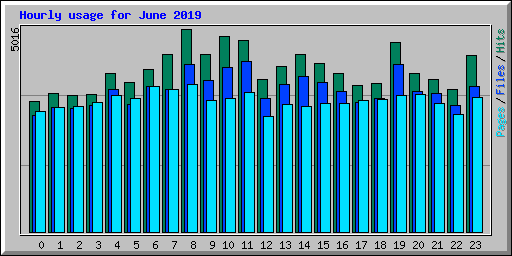 Hourly usage for June 2019