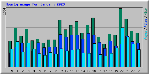 Hourly usage for January 2023
