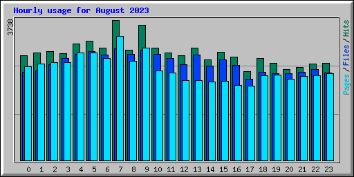 Hourly usage for August 2023