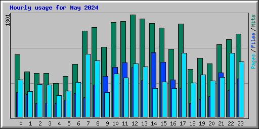 Hourly usage for May 2024