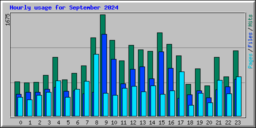 Hourly usage for September 2024