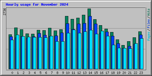 Hourly usage for November 2024
