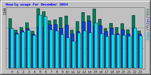 Hourly usage for December 2024