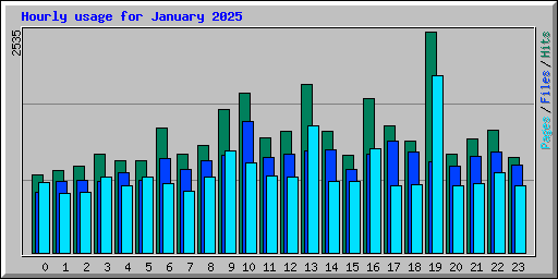 Hourly usage for January 2025