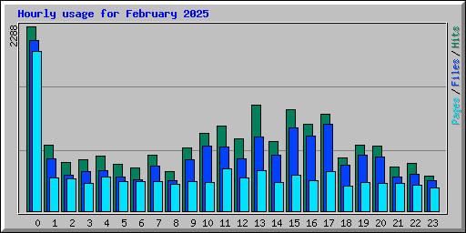 Hourly usage for February 2025