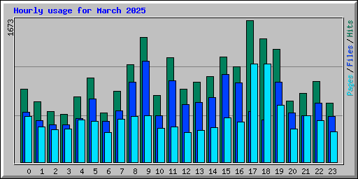 Hourly usage for March 2025