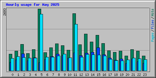 Hourly usage for May 2025