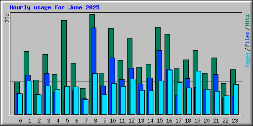 Hourly usage for June 2025