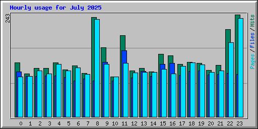 Hourly usage for July 2025