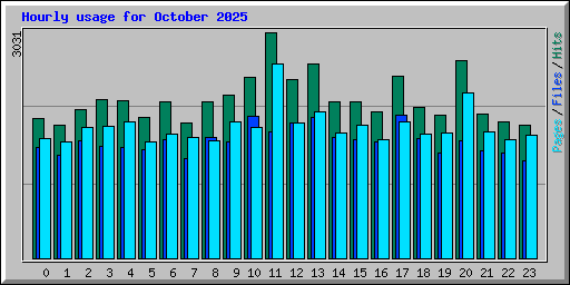 Hourly usage for October 2025