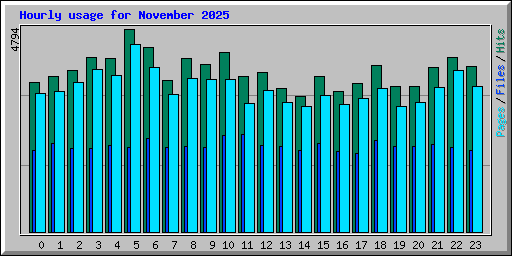 Hourly usage for November 2025