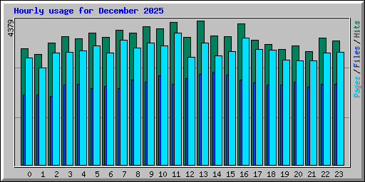 Hourly usage for December 2025