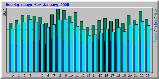Hourly usage for January 2026