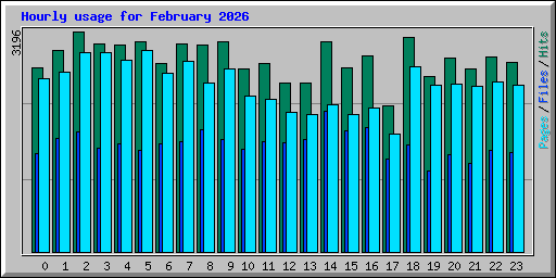 Hourly usage for February 2026