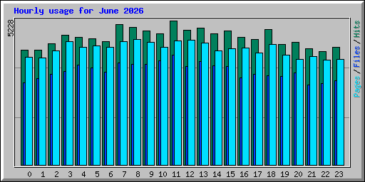 Hourly usage for June 2026