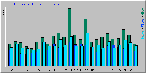 Hourly usage for August 2026